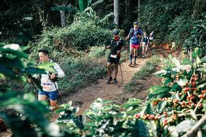 BIB: 
                            <button type="button" onclick="openModal(25855237)" class="btn btn-primary btn-sm float-right btn-popup" data-toggle="modal" data-target=".modal-high-quality">
                        <i class="fas fa-shopping-cart"></i> Add to Cart
                    </button>
                                            <button type="button" onclick="isThisMe(25855237, true)" class="btn btn-success btn-sm float-right btn-popup btn-isme hidden" data-toggle="tooltip" data-placement="bottom" title="นี่คือรูปของคุณใช่ไหม คลิกที่นี่เพื่อเอาเข้าอัลบั้ม">
                        <i class="fas fa-plus"></i> Add to album
                    </button>
                    <button type="button" onclick="isThisMe(25855237, false)" class="btn btn-warning btn-sm float-right btn-popup btn-isnotme hidden">
                        <i class="fas fa-ban"></i> Remove from album
                    </button>